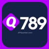 Q789 Game